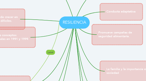Mind Map: RESILIENCIA