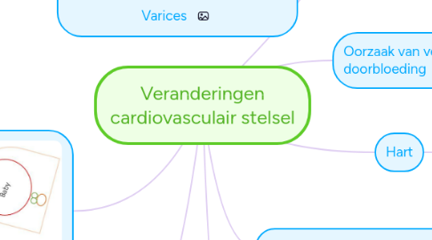 Mind Map: Veranderingen cardiovasculair stelsel