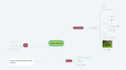 Mind Map: Capa jacinto