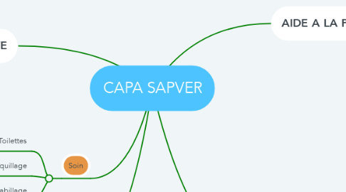 Mind Map: CAPA SAPVER