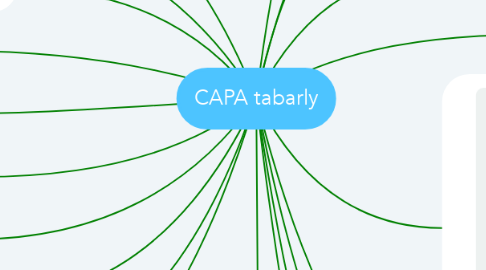 Mind Map: CAPA tabarly