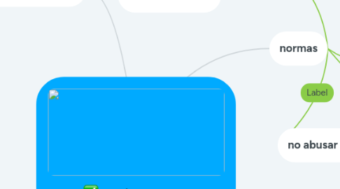 Mind Map: netiqueta