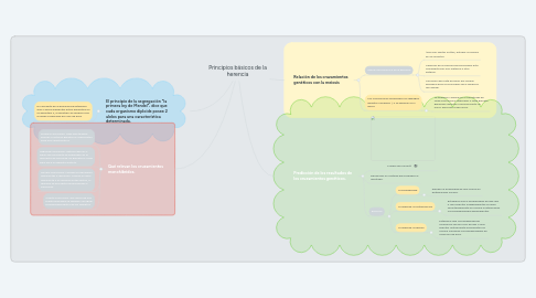 Mind Map: Principios básicos de la herencia