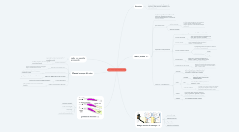 Mind Map: clasificaciòn de motores monofasicos