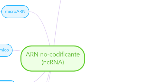 Mind Map: ARN no-codificante (ncRNA)