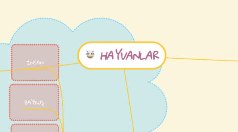 Mind Map: HAYVANLAR