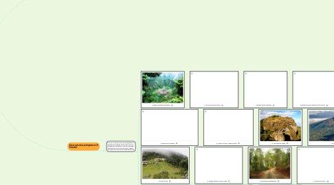 Mind Map: PROCEDIMIENTO PARA LA DECLARATORIA DE UN ÁREA NATURAL PROTEGIDA