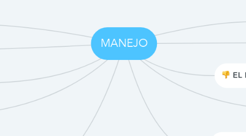 Mind Map: MANEJO