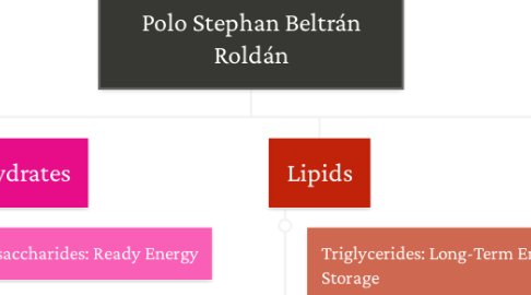 Mind Map: The Chemistry of Organic Molecules A01703002 Polo Stephan Beltrán Roldán