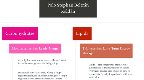 Mind Map: The Chemistry of Organic Molecules A01703002 Polo Stephan Beltrán Roldán