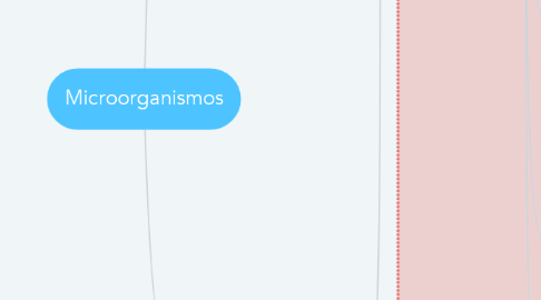 Mind Map: Microorganismos