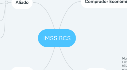 Mind Map: IMSS BCS