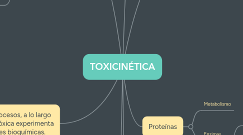 Mind Map: TOXICINÉTICA