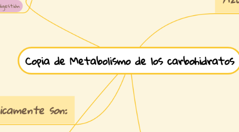 Mind Map: Copia de Metabolismo de los carbohidratos