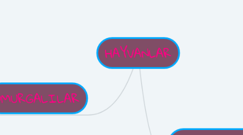 Mind Map: HAYVANLAR