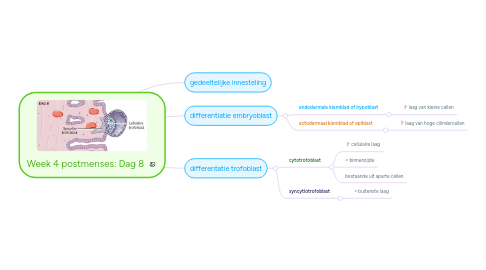 Mind Map: Week 4 postmenses: Dag 8