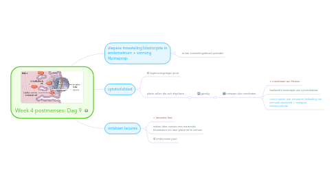 Mind Map: Week 4 postmenses: Dag 9