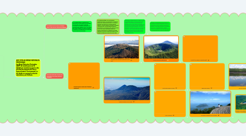 Mind Map: PROCEDIMIENTO PARA DECLARACION DE UN AREA PROTEGIDA