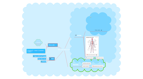 Mind Map: Baile como estilo de vida