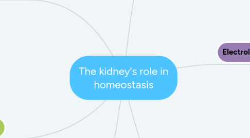 Mind Map: The kidney's role in homeostasis