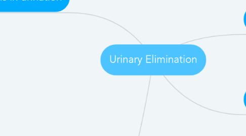 Mind Map: Urinary Elimination