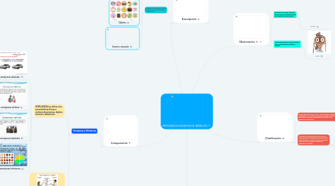Mind Map: PROCESOS COGNITIVOS BÁSICOS
