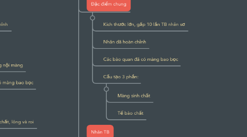 Mind Map: Chương II: Cấu trúc của tế bào