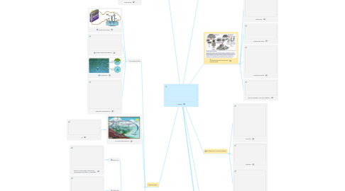 Mind Map: AQUA