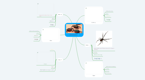 Mind Map: Oreo Spider