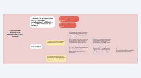 Mind Map: Audiencia oral de presentación del aprehendido en un delito flagrante