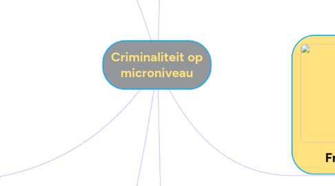 Mind Map: Criminaliteit op microniveau