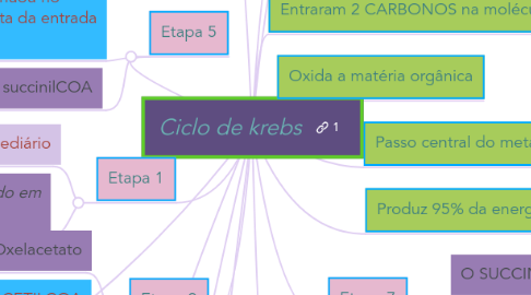 Mind Map: Ciclo de krebs