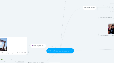 Mind Map: Florida School Shooting