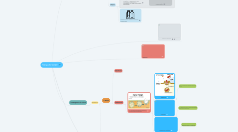 Mind Map: Transporte Celular