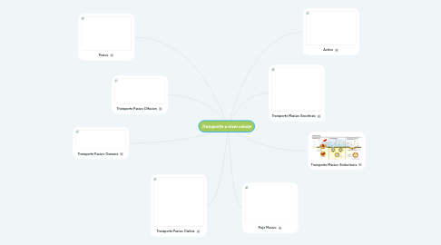 Mind Map: Transporte a nivel celular