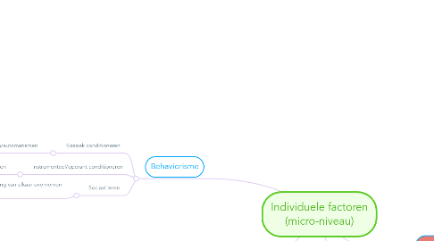 Mind Map: Individuele factoren (micro-niveau)