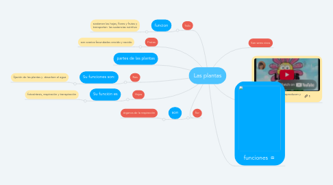 Mind Map: Las plantas