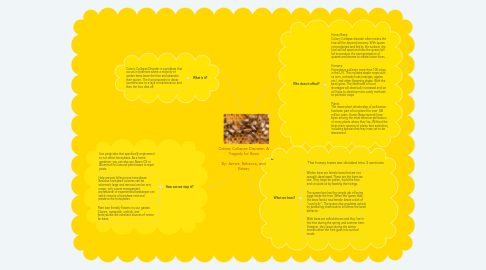 Mind Map: Colony Collapse Disorder: A Tragedy for Bees  By: James, Rebecca, and Kelsey