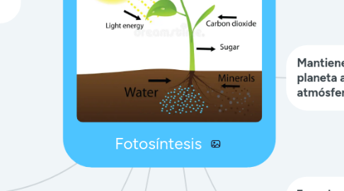 Mind Map: Fotosíntesis