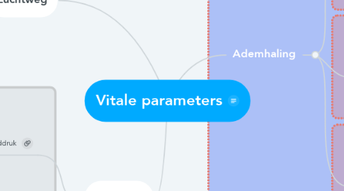 Mind Map: Vitale parameters