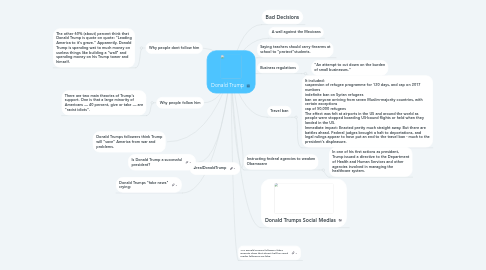 Mind Map: Donald Trump