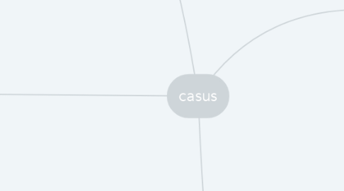 Mind Map: casus