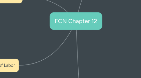 Mind Map: FCN Chapter 12