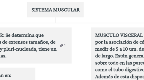 Mind Map: SISTEMA MUSCULAR