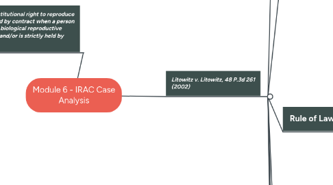 Mind Map: Module 6 - IRAC Case Analysis