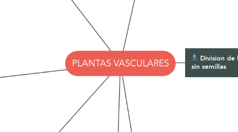 Mind Map: PLANTAS VASCULARES