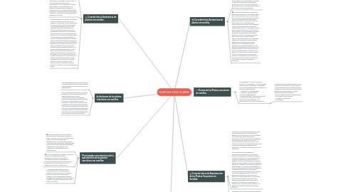 Mind Map: PLANTAS VASCULARES