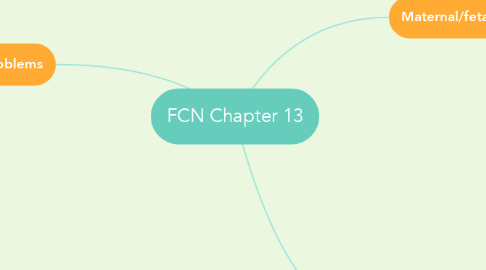 Mind Map: FCN Chapter 13