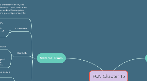Mind Map: FCN Chapter 15