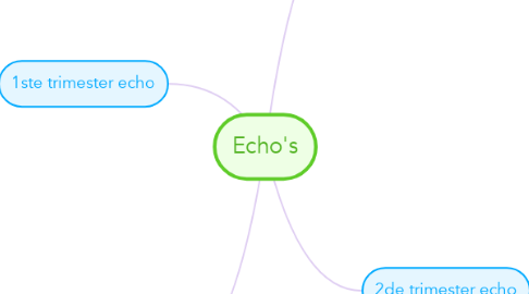 Mind Map: Echo's